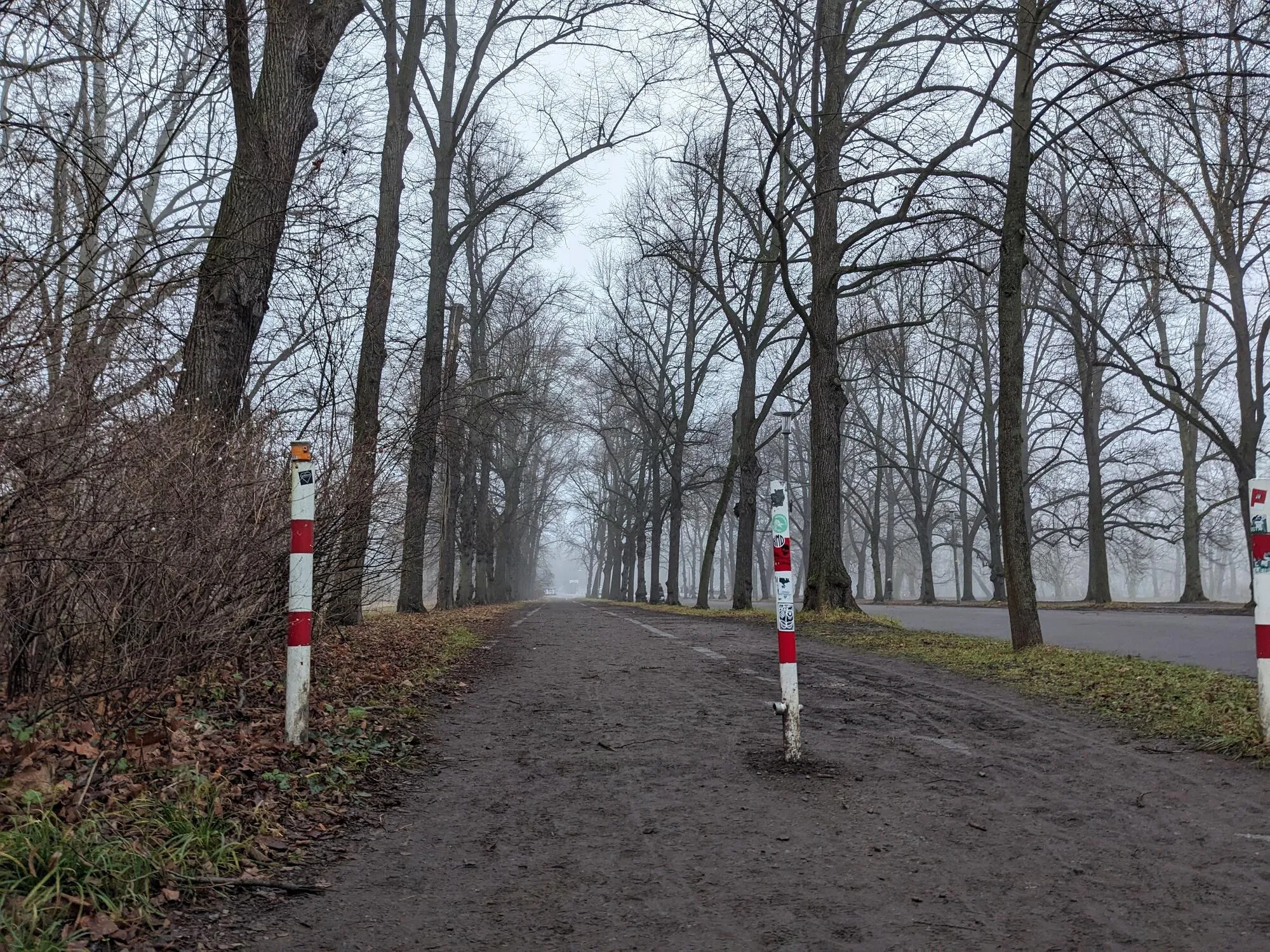 Anton-Bruckner-Allee