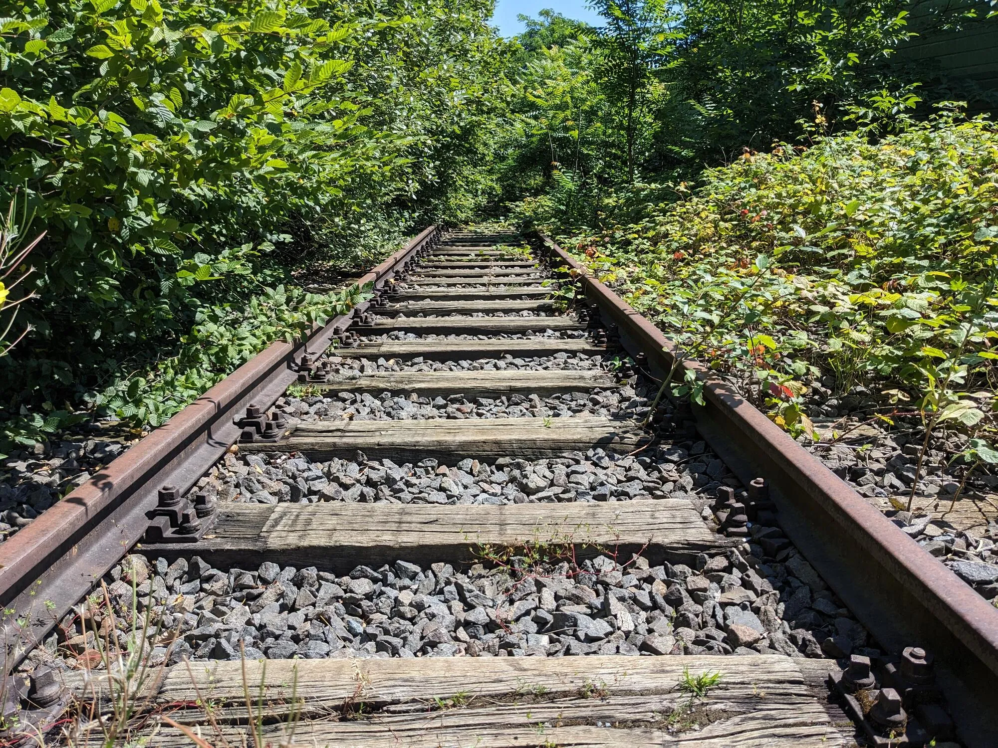 Stillgelegtes Bahngleis