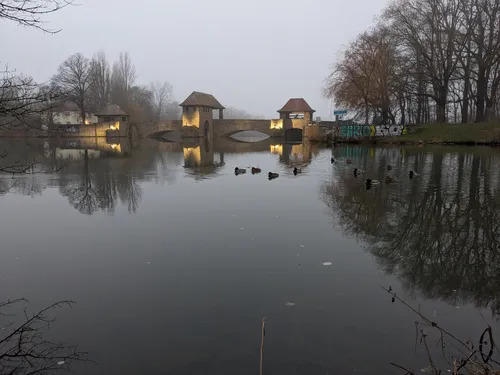 Elsterwehr mit Enten