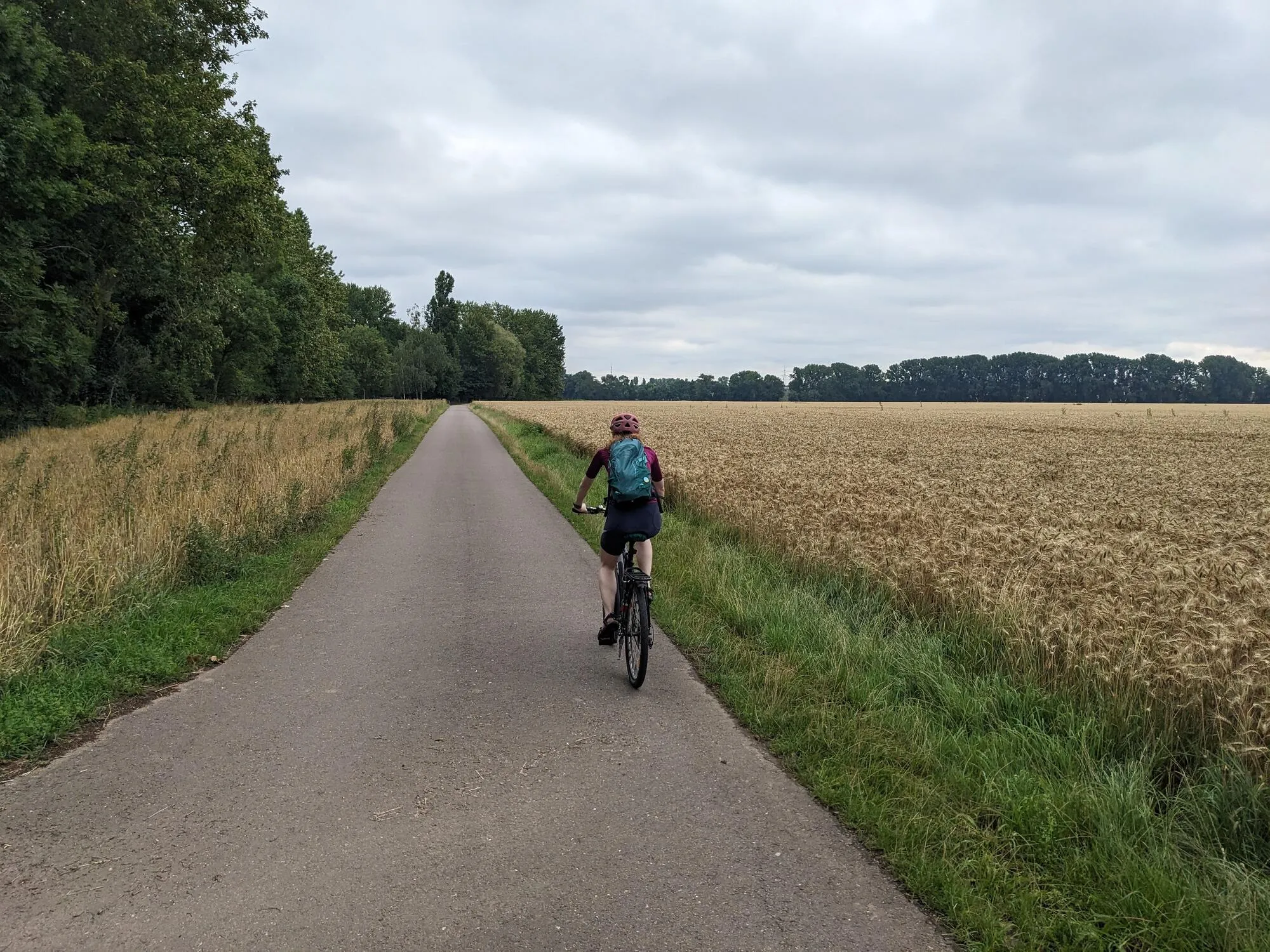 Entlang am Feld