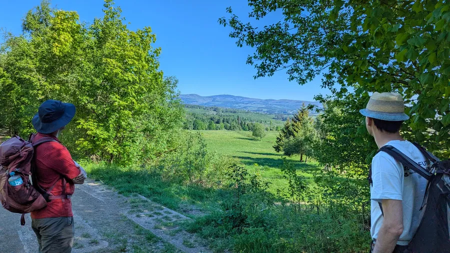 Ausblick zum Brocken