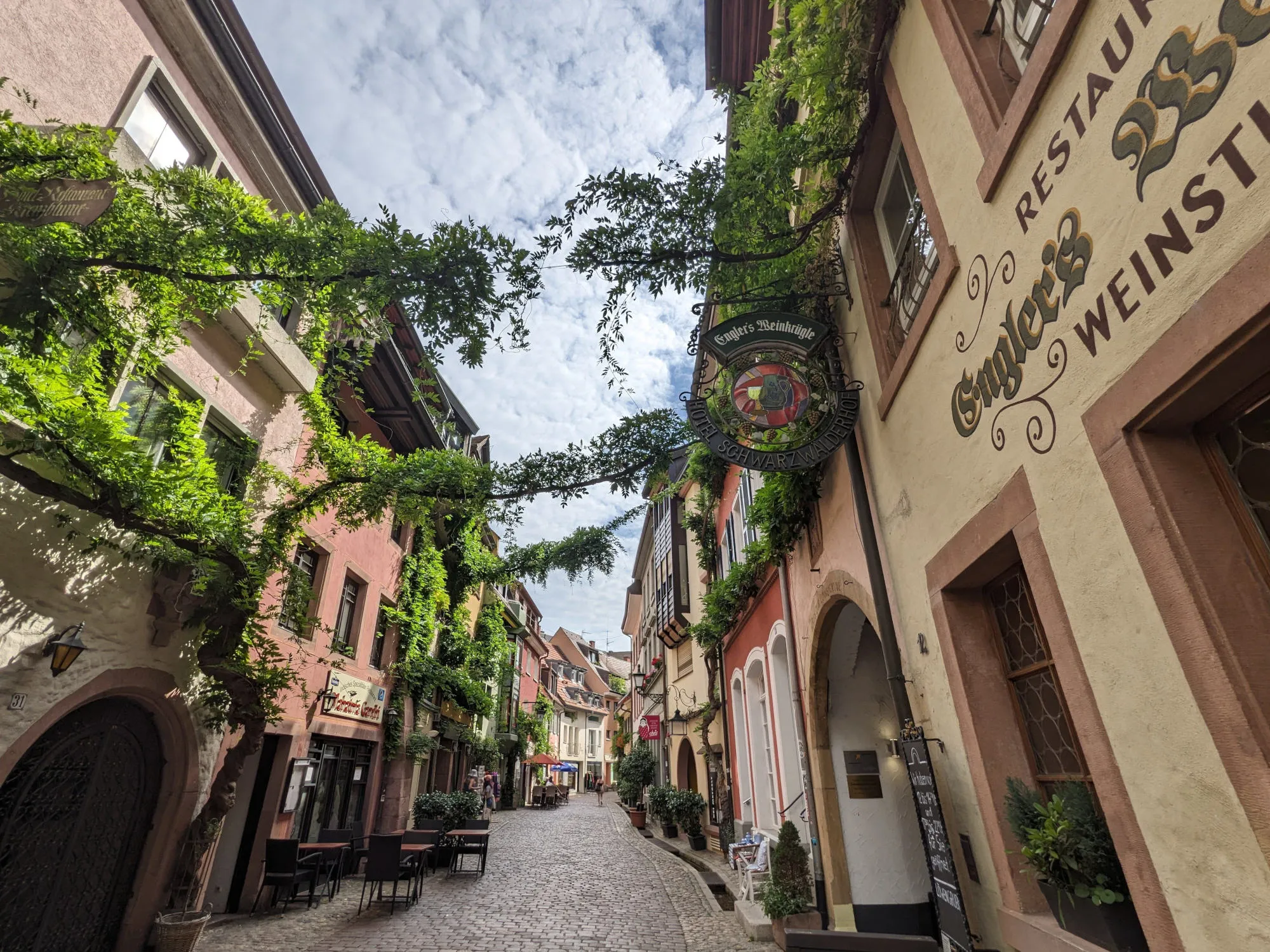 Gasse mit Weinreben