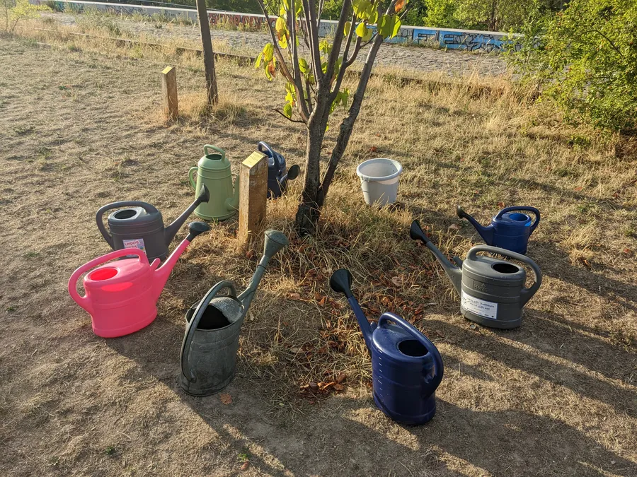 Acht Gießkannen und ein Baum