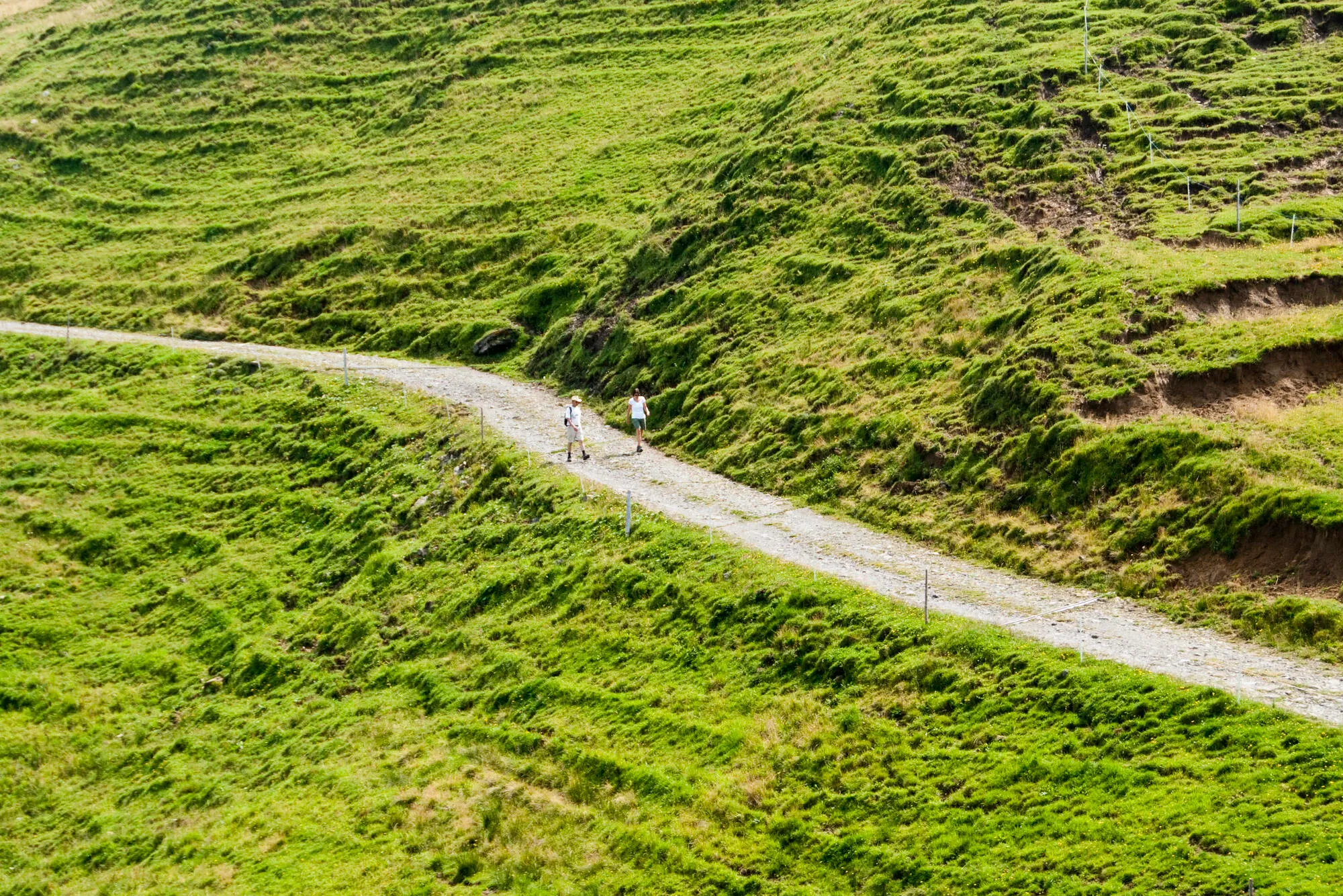 Durch grüne Wiesen wandern wir