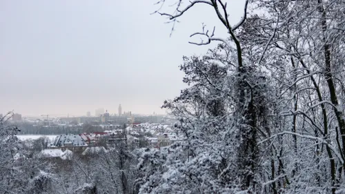 Blick vom Fockeberg