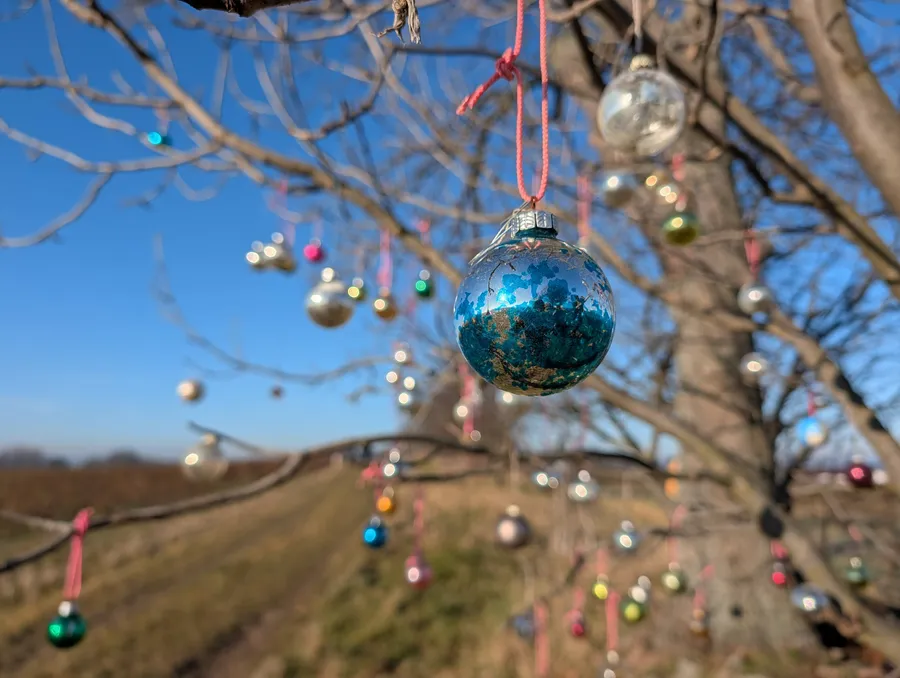 Christbaumkugeln hängen an einem Baum im Freien