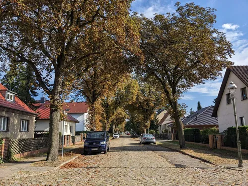 Straße in Berlin-Mahlsdorf