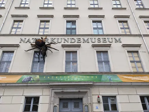 Das Leipziger Naturkundemuseum an der Lotzingstraße mit einer großen Spinne an der Fassade