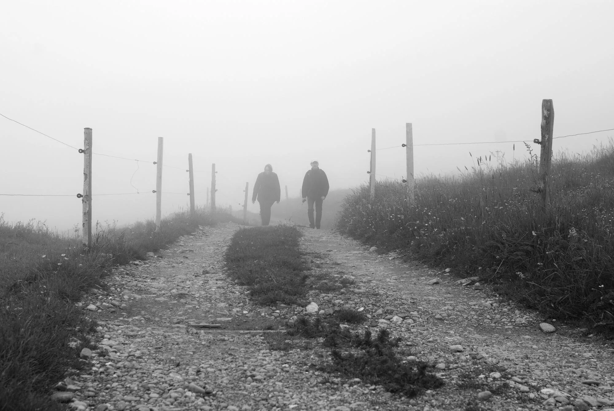 Wandern im Nebel