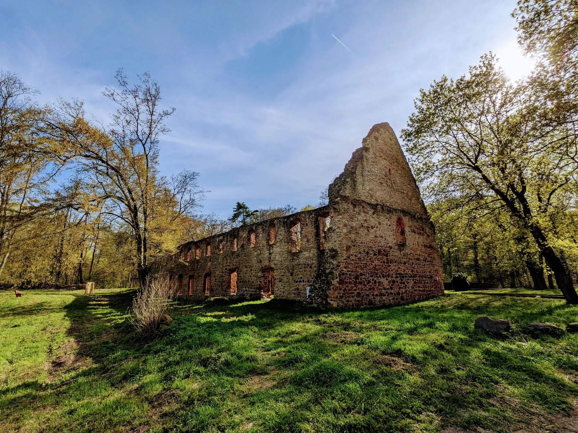 Klosterruine Nimbschen