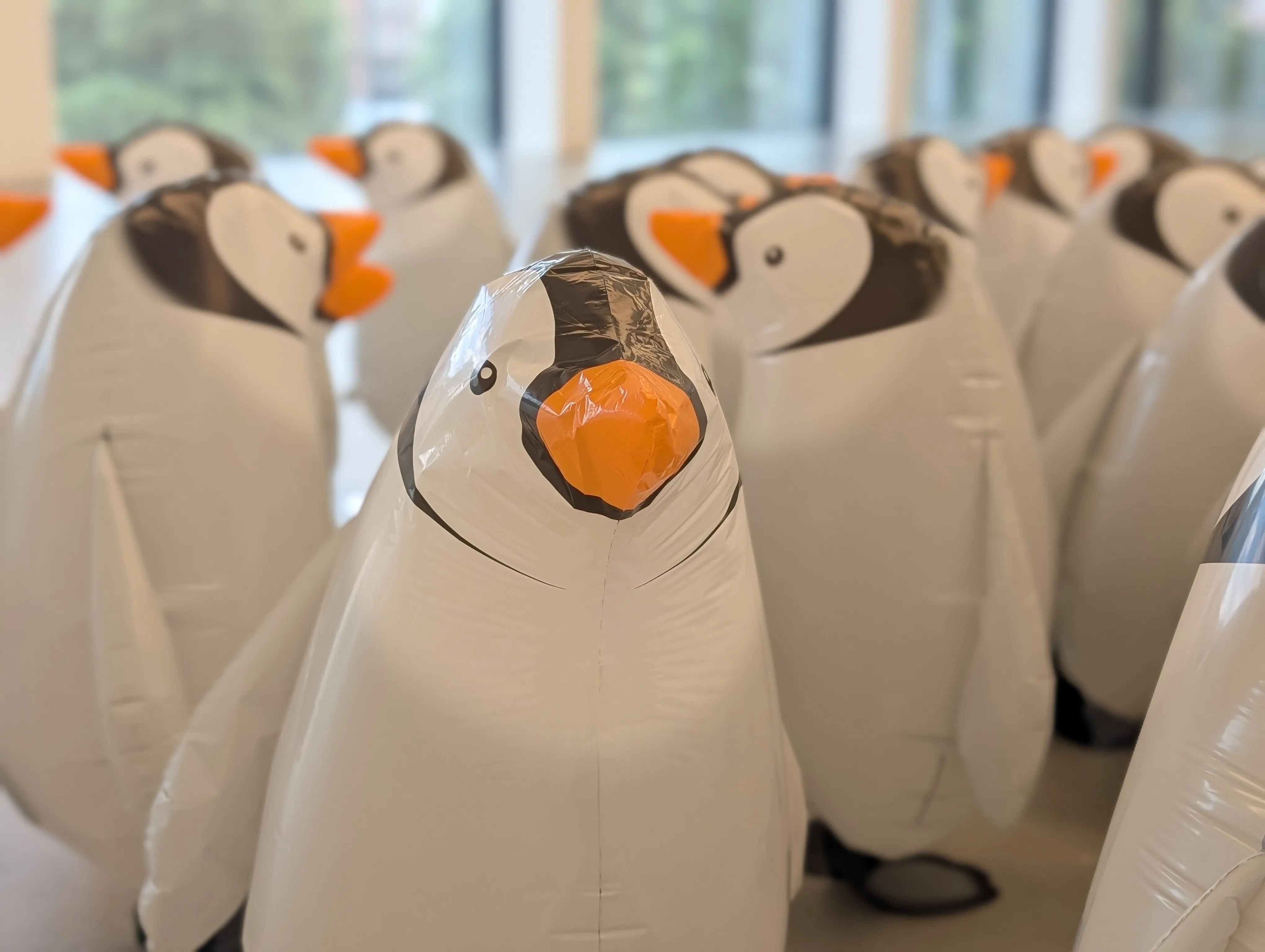 Pinguine in der Kunsthalle Mannheim