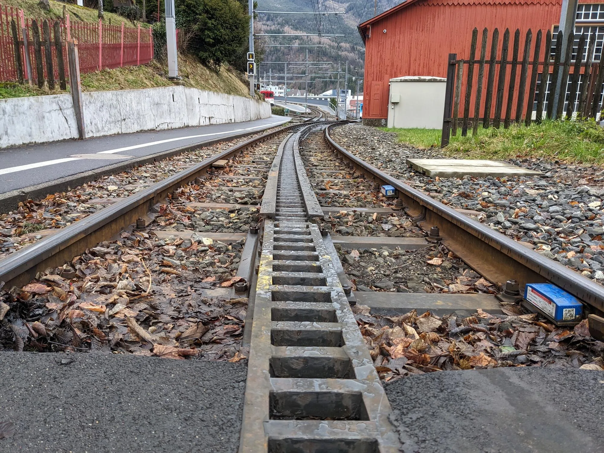 Gleis und Zahnstange der Rigibahn