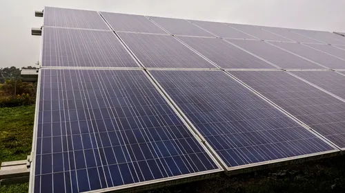 Solarmodule einer Freiflächen-Anlage